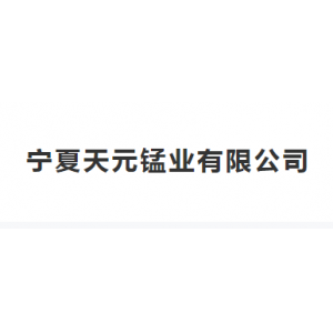 宁夏天元锰业有限公司